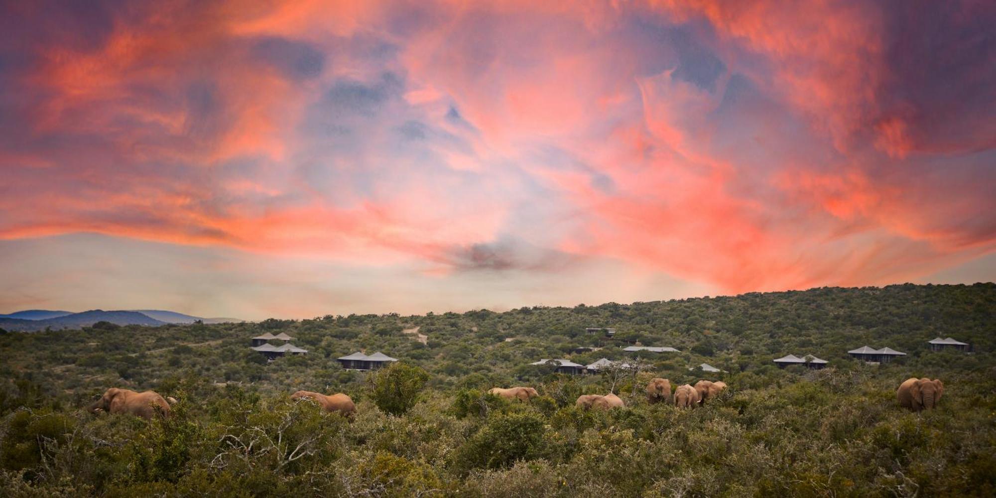 Kwandwe Ecca Lodge Grahamstown Zewnętrze zdjęcie