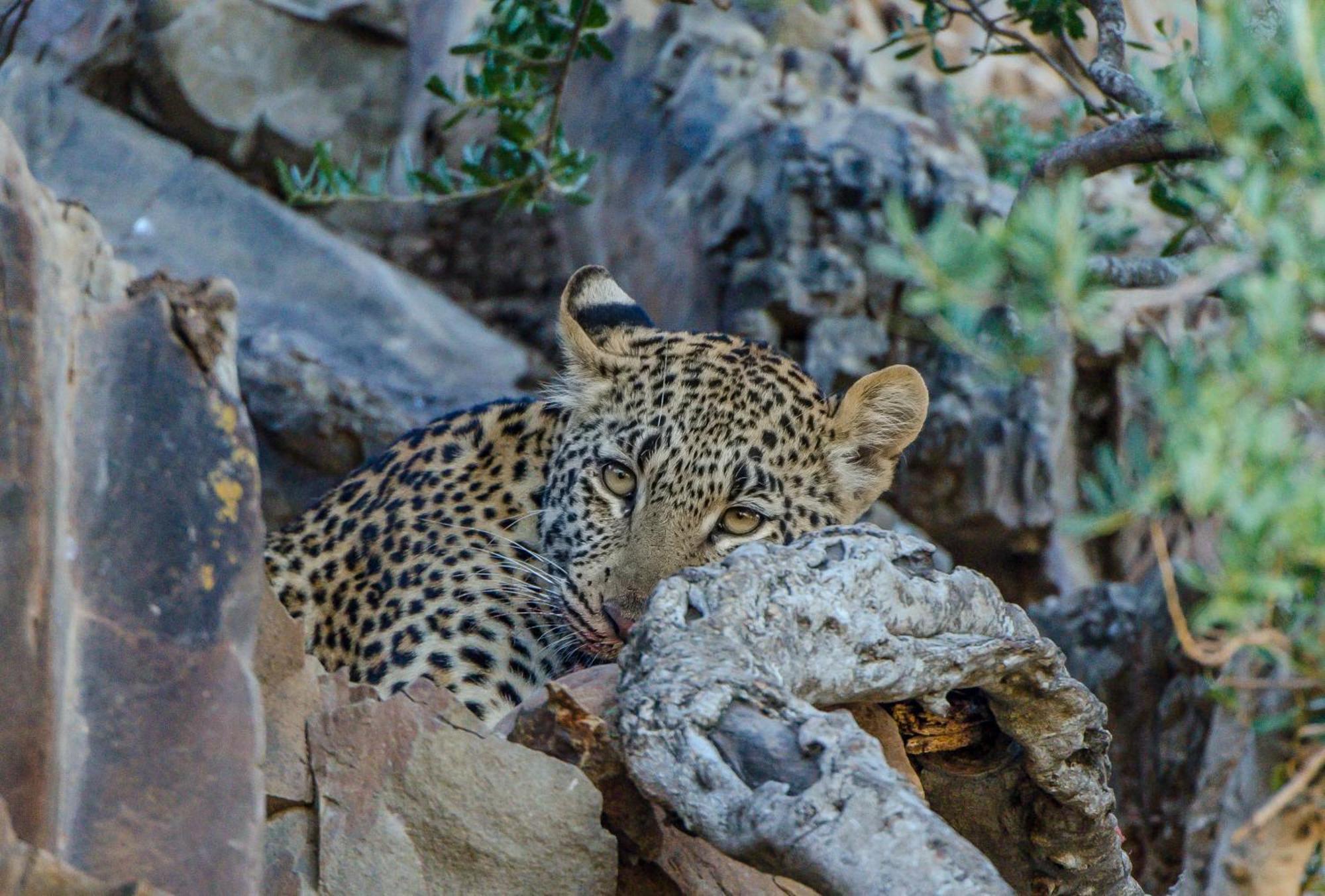 Kwandwe Ecca Lodge Grahamstown Zewnętrze zdjęcie